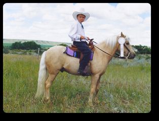 Cloud Nine, palomino pony at 4-H