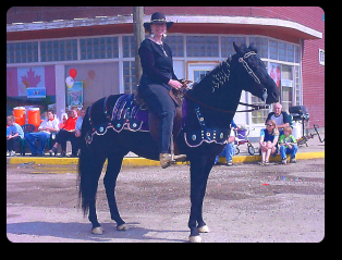 Cool Dude, running quarter horse
