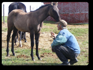 Dasha at 4 months old (2014)