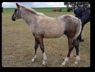 Quincy at 6 mths old