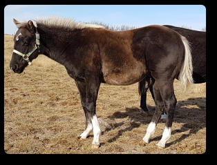 Quincy at 8 mths old