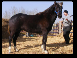 Quincy at 3 yrs old (Mar 2021)