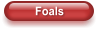 Foals