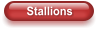 Stallions