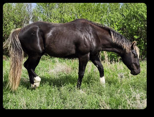 Quincy at 6 yrs old (Apr 2024) 